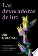 Las devoradoras de luz