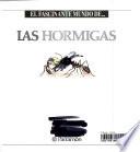 Las hormigas