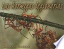 Las Hormigas Legionarias