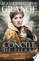 Le Concile de Pierre