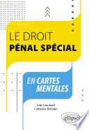 Le droit pénal spécial en cartes mentales