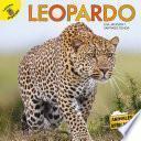 Leopardo