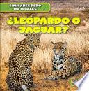 ¿Leopardo o jaguar? (Leopard or Jaguar?)
