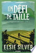 Les ranchs de Ruby Creek - Tome 03 Un défi de taille (e-book)