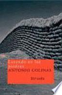 Leyendo en las piedras