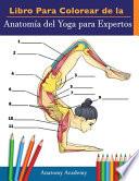 Libro Para Colorear de la Anatomía del Yoga para Expertos
