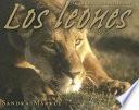 Lions