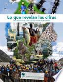 Lo Que Revelan Las Cifras