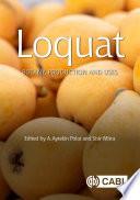 Loquat