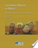 Los adultos mayores en México. Perfil sociodemográfico al inicio del siglo XXI
