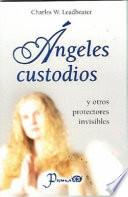 Los Angeles Custodios