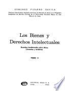 Los bienes y derechos intelectuales