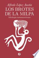 Los brotes de la milpa