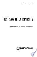 Los casos de la empresa X