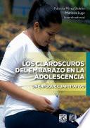 Los claroscuros del embarazo en la adolescencia. Un enfoque cuantitativo