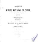 Los cráneos de los delfines chilenos