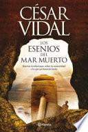 Los esenios del mar Muerto
