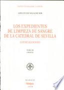 Los expedientes de limpieza de sangre de la Catedral de Sevilla: Indice