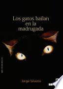 Los Gatos Bailan De Madrugada