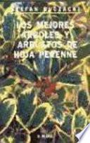 Los mejores árboles y arbustos de hoja perenne