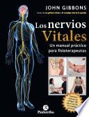 Los nervios vitales