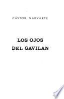 Los ojos del gavilán