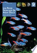 Los peces tropicales de agua dulce