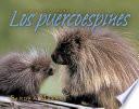Los puercoespines / Porcupines