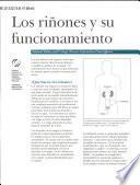 Los Rinones Y Su Funcionamiento, Agosto 2002, (SPANISH).