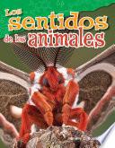Los sentidos de los animales (Animal Senses) Guided Reading 6-Pack