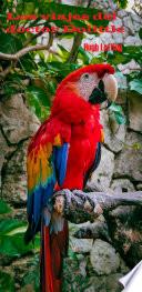 Los viajes del doctor Dolittle