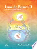Luna de pajaros II
