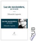 Luz de noviembre, por la tarde