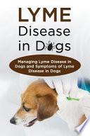 Lyme Disease in Dogs