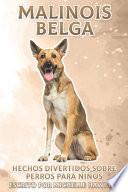 Malinois Belga