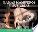 Mamas mamiferos y sus crias