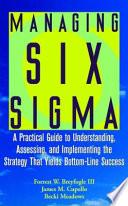 Managing Six Sigma