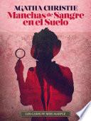 Manchas de sangre en el suelo
