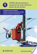 Mantenimiento de redes eléctricas aéreas de alta tensión. ELEE0209