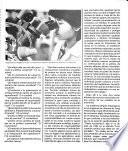 Manual de informaciones
