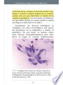 Manual Práctico de Oncología en Pequeños Animales
