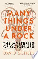 Many Things Under a Rock