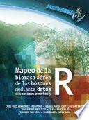 Mapeo de la biomasa aérea de los bosques mediante datos de sensores remotos y R