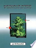 Marihuana