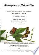 Mariposas y palomillas