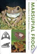 Marsupial Frogs