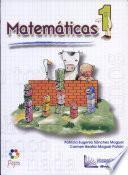 Matemáticas 1