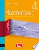 Matemáticas 4