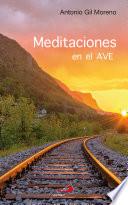 Meditaciones en el AVE