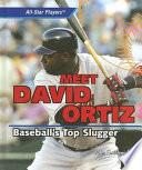 Meet David Ortiz